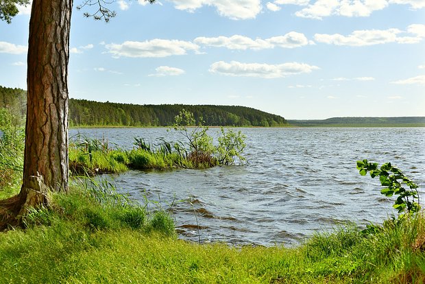 Вводная картинка