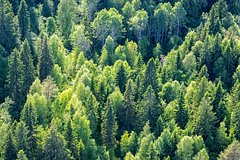 Архивное фото