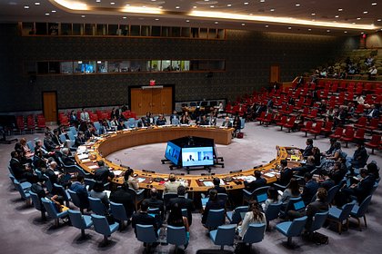 Большинство стран ООН не поддержали заявление о причастности России к БПЛА в Польше