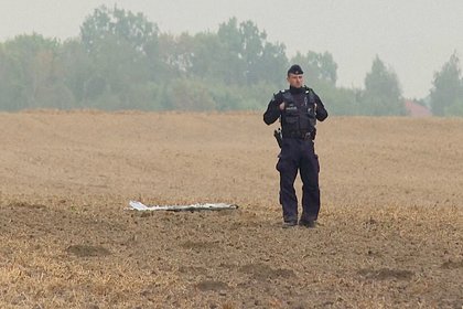 Политолог назвал предположительное происхождение сбитых в Польше БПЛА