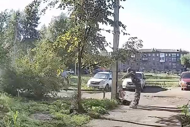 Вводная картинка