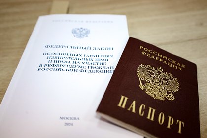 Раскрыта итоговая явка среди проголосовавших с помощью ДЭГ россиян
