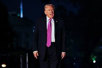 «Они неспособны разговаривать друг с другом». Трамп решил взяться за диалог Путина и Зеленского 