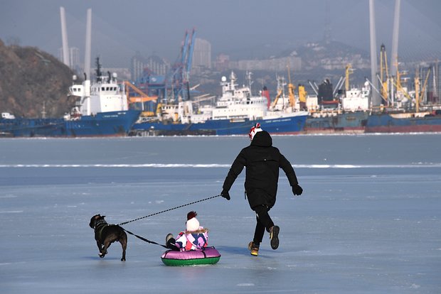 Вводная картинка