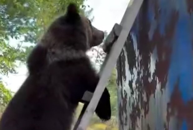 Вводная картинка