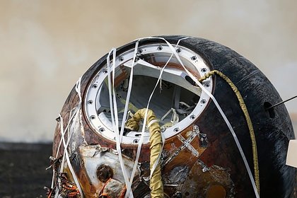 Раскрыта судьба полетевших в космос мышей