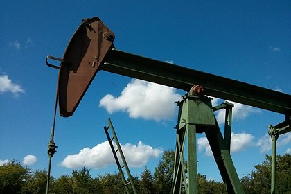 США решили обсудить с Индией закупки нефти у России