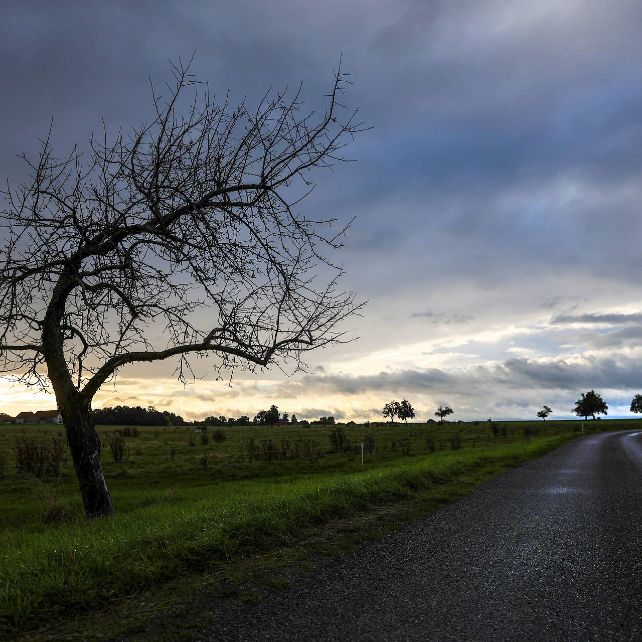 Психолог назвала способ предотвратить осеннюю депрессию