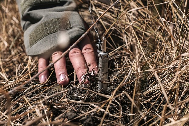 Вводная картинка