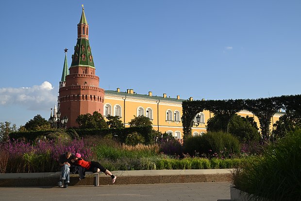 Вводная картинка