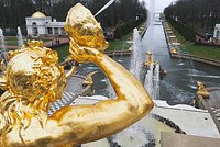 Более тысячи семей собрались лишить домов под Петербургом 