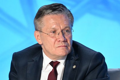 На Украине объявили в розыск главу «Росатома»