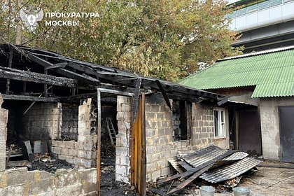В Москве произошел пожар в приюте для собак