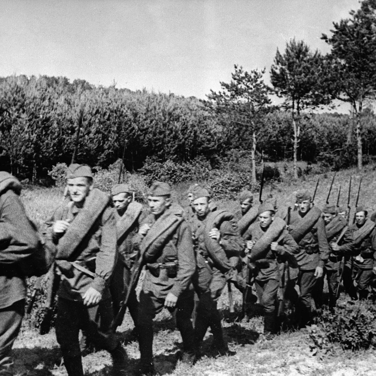 Стал известен один из секретов победы над Наполеоном и Гитлером