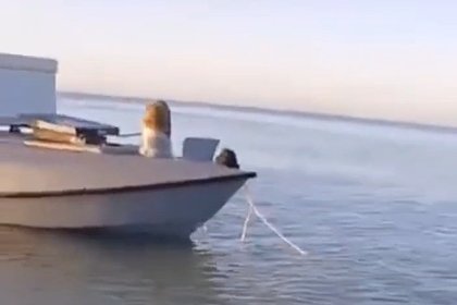 Бойцы СВО захватили украинский безэкипажный катер-«матку»