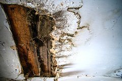 Архивное фото