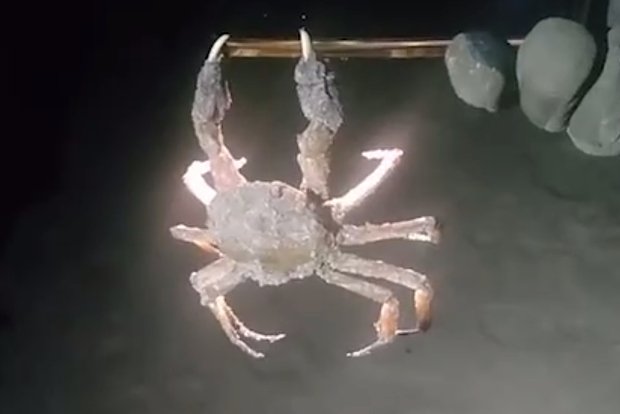 Вводная картинка