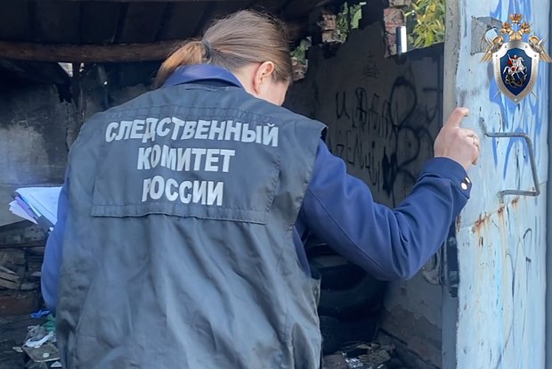 Вводная картинка