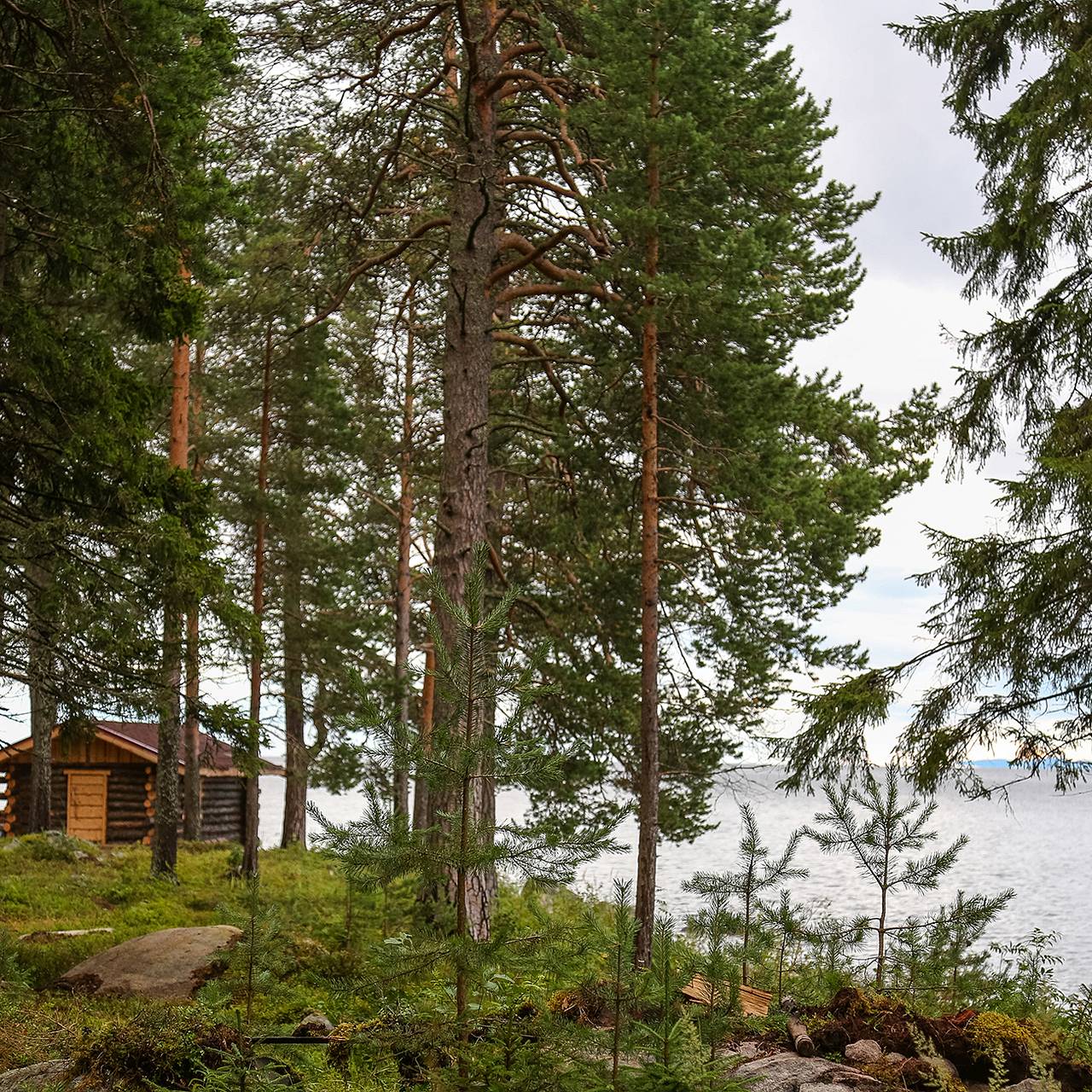 Россияне захотели отправиться в кинопутешествие по стране