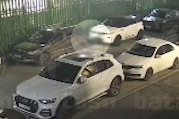 Вводная картинка