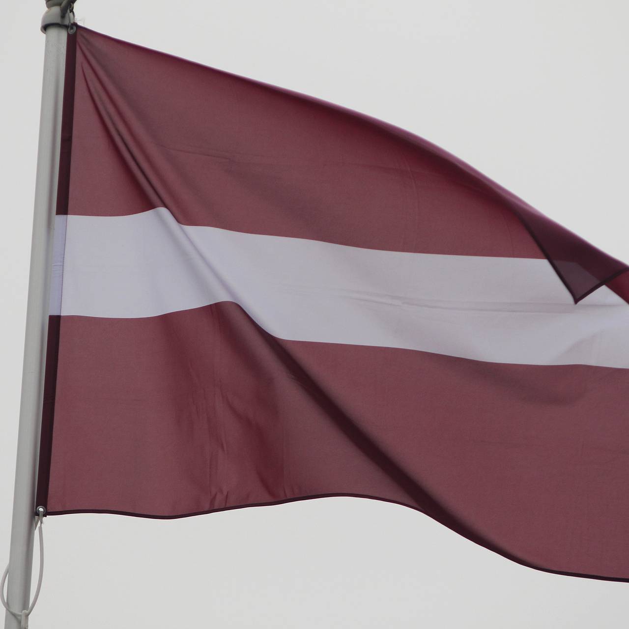 В Латвии задержали пытавшегося пробраться в Россию беженца