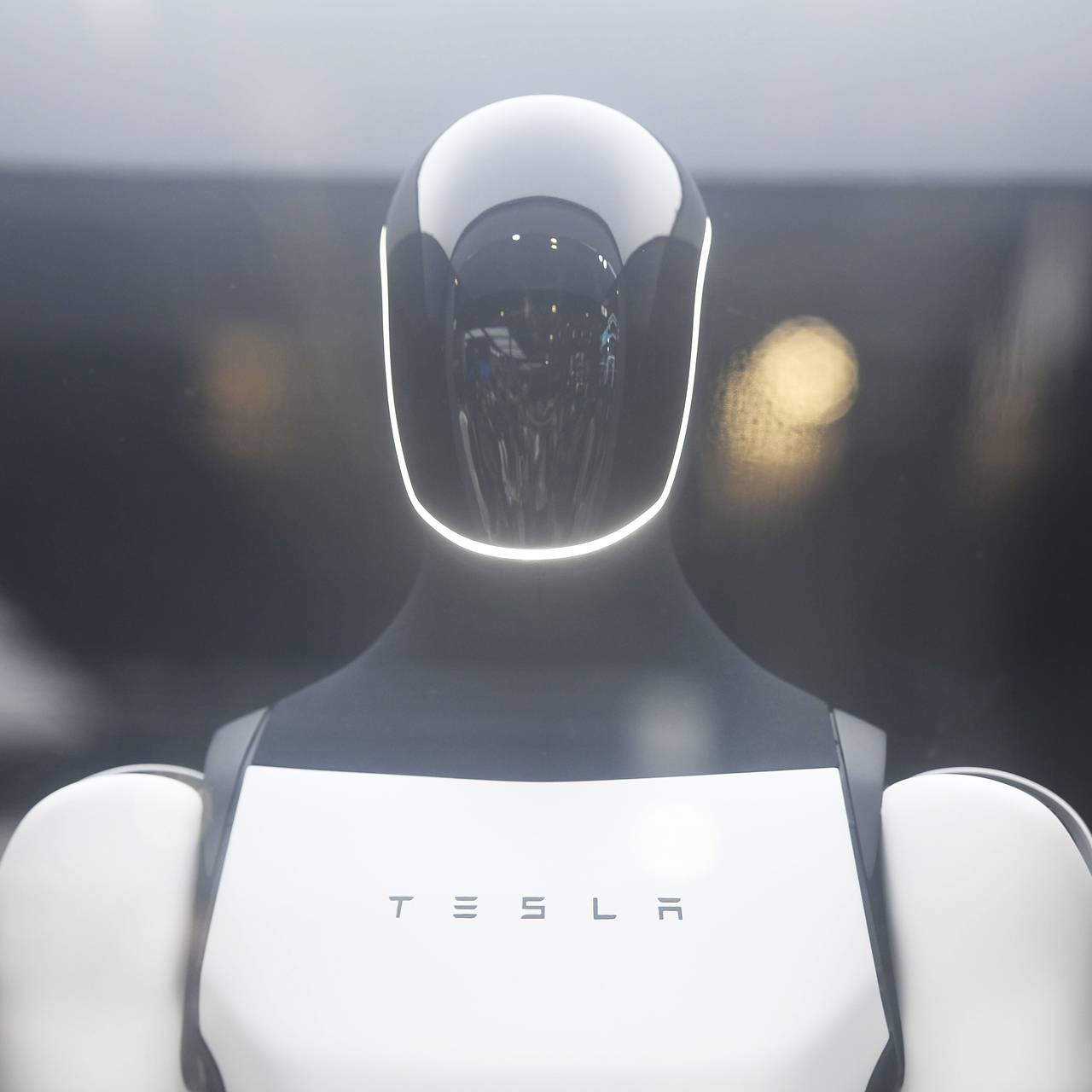 Илон Маск показал изучение приемов кунг-фу гуманоидным роботом Optimus