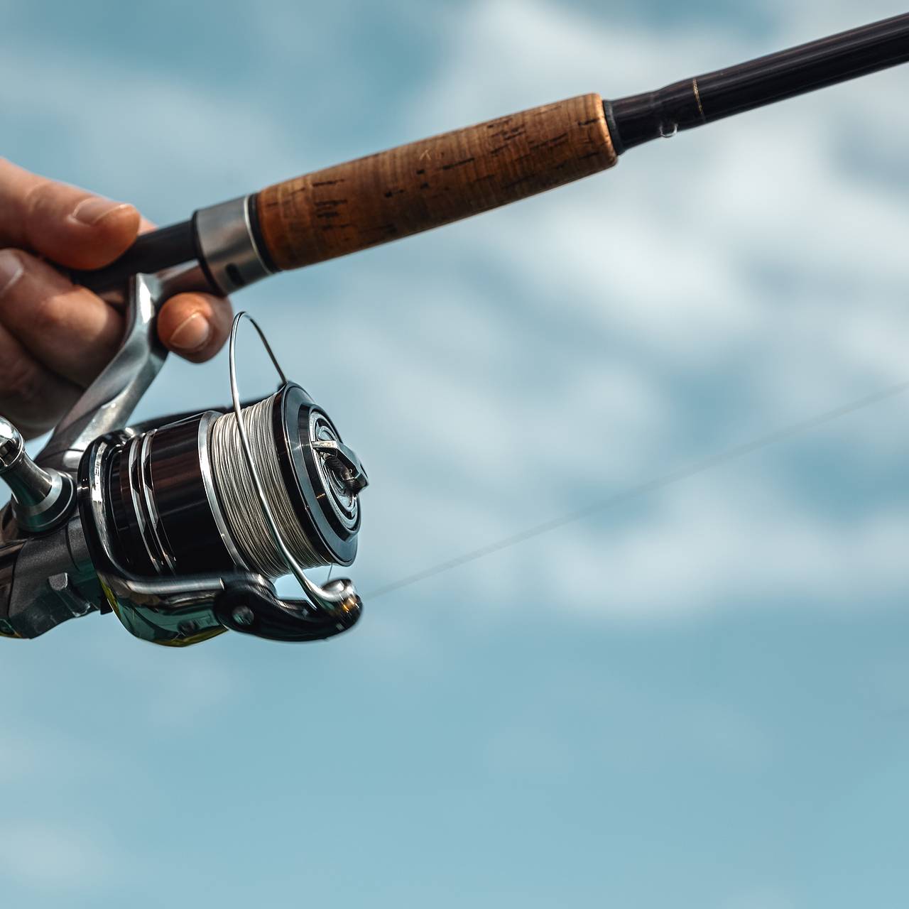 Рыбу длиной четыре метра впервые поймали на удочку с воблером