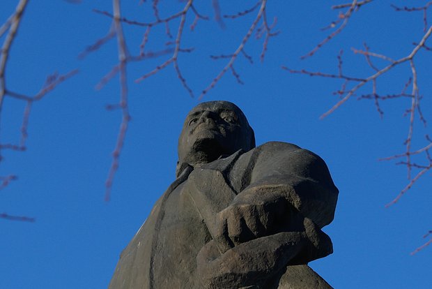 Вводная картинка