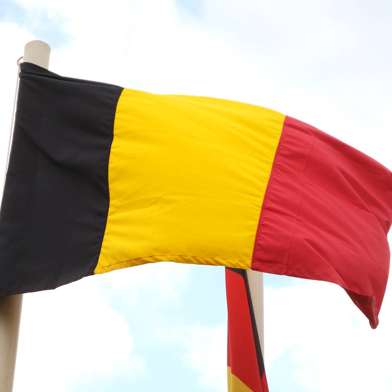 В Бельгии предотвратили покушение на политиков с помощью БПЛА