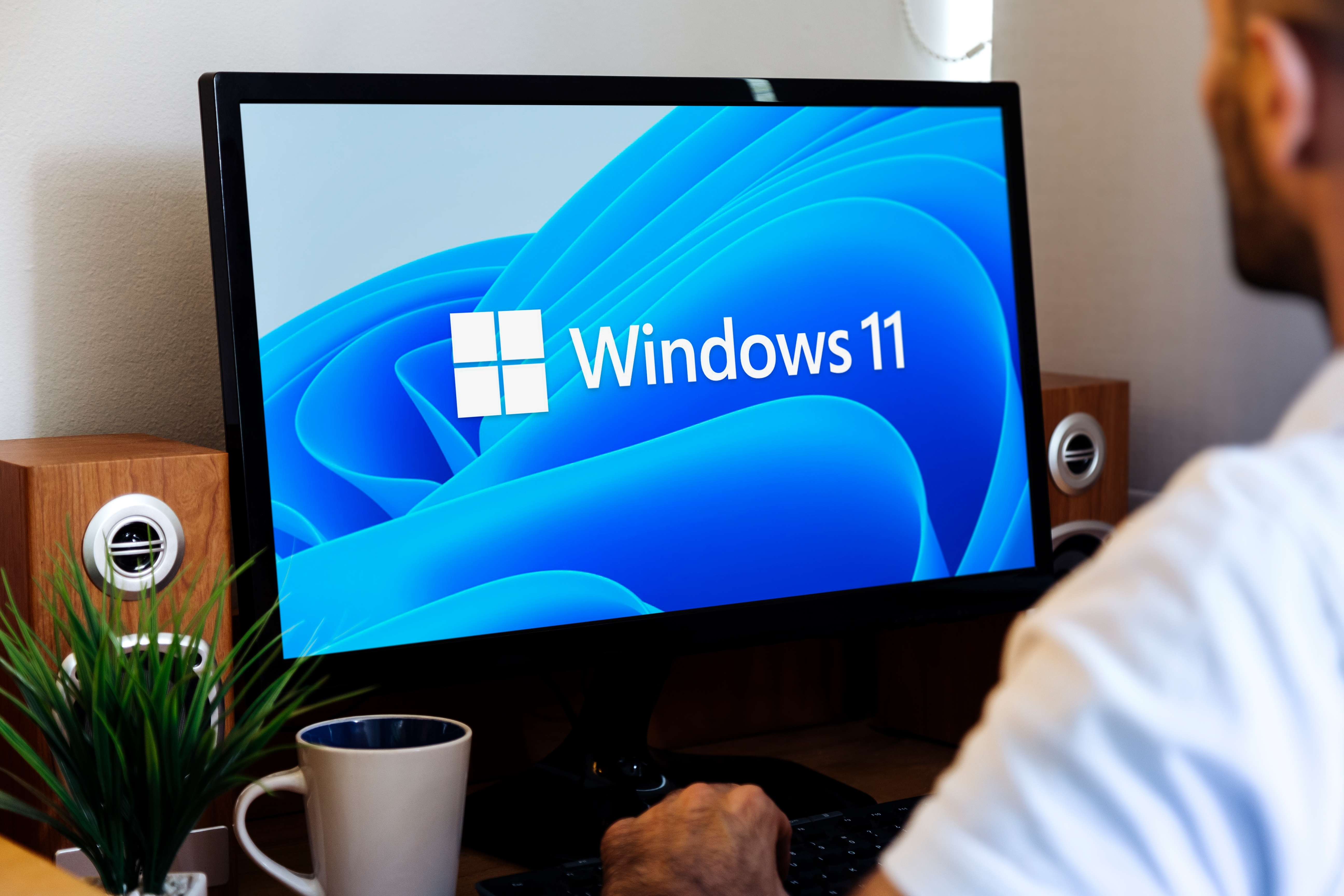   Windows  - 