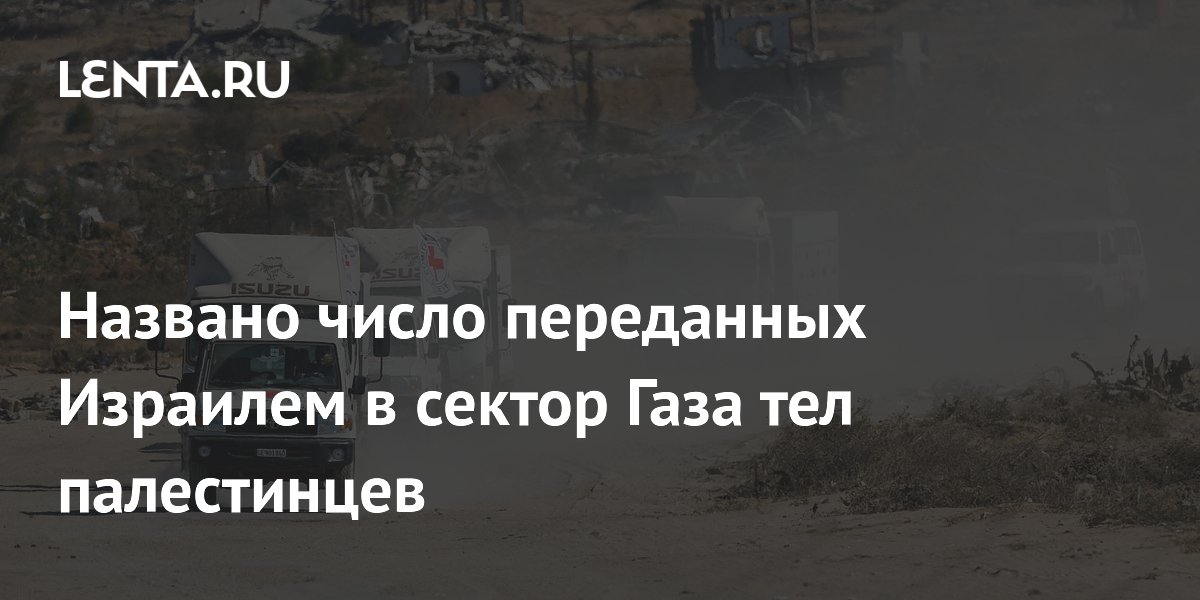 Названо число переданных Израилем в сектор Газа тел палестинцев