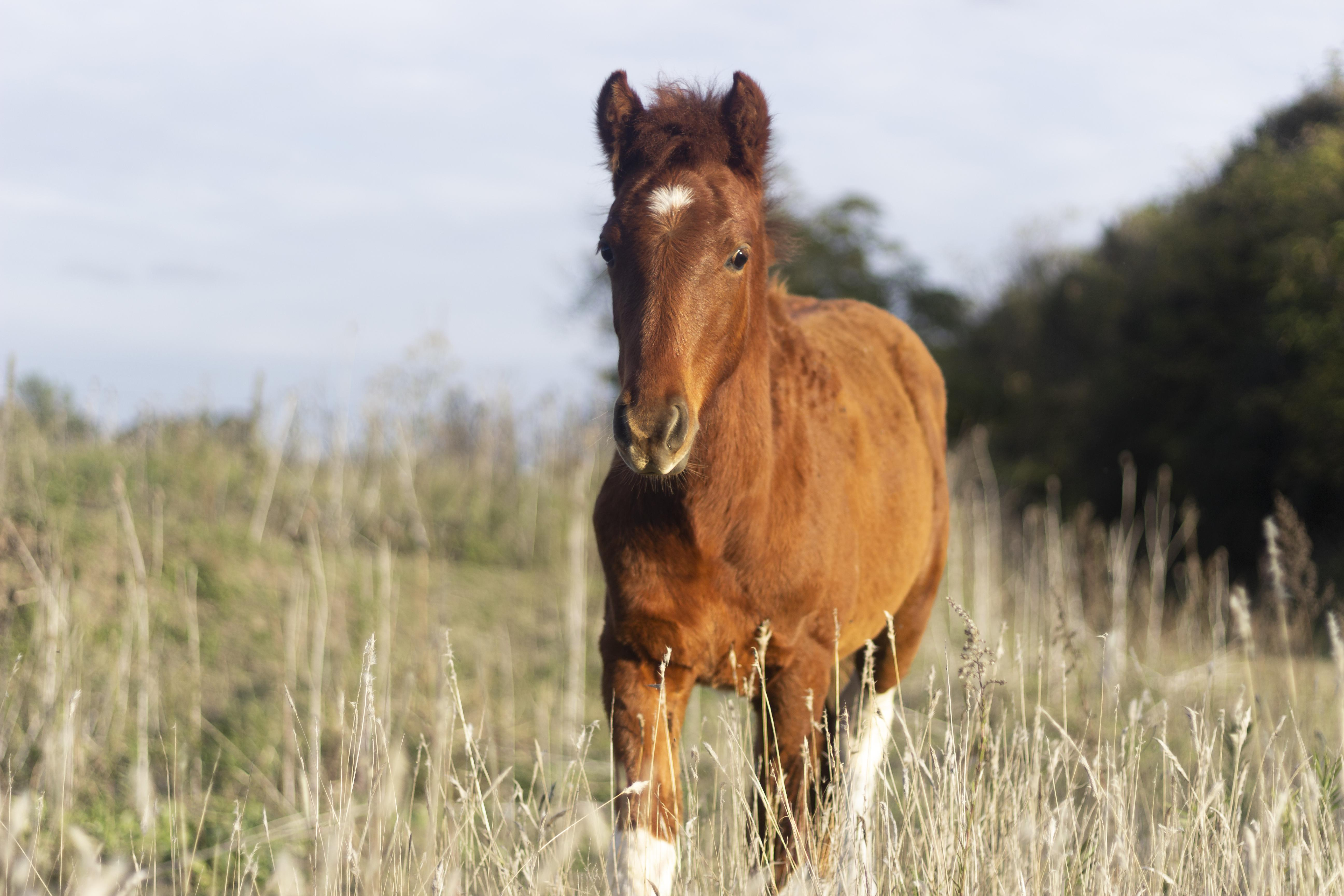 ������&nbsp; 2026 ���� � ������� �������� ������: ���� ����� �� ������ ���� � ��� ��� ���������