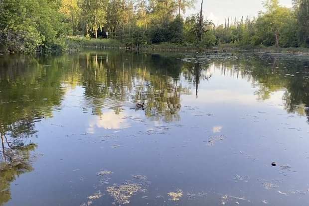 Вводная картинка