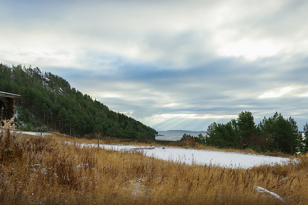 Вводная картинка