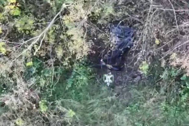 Вводная картинка