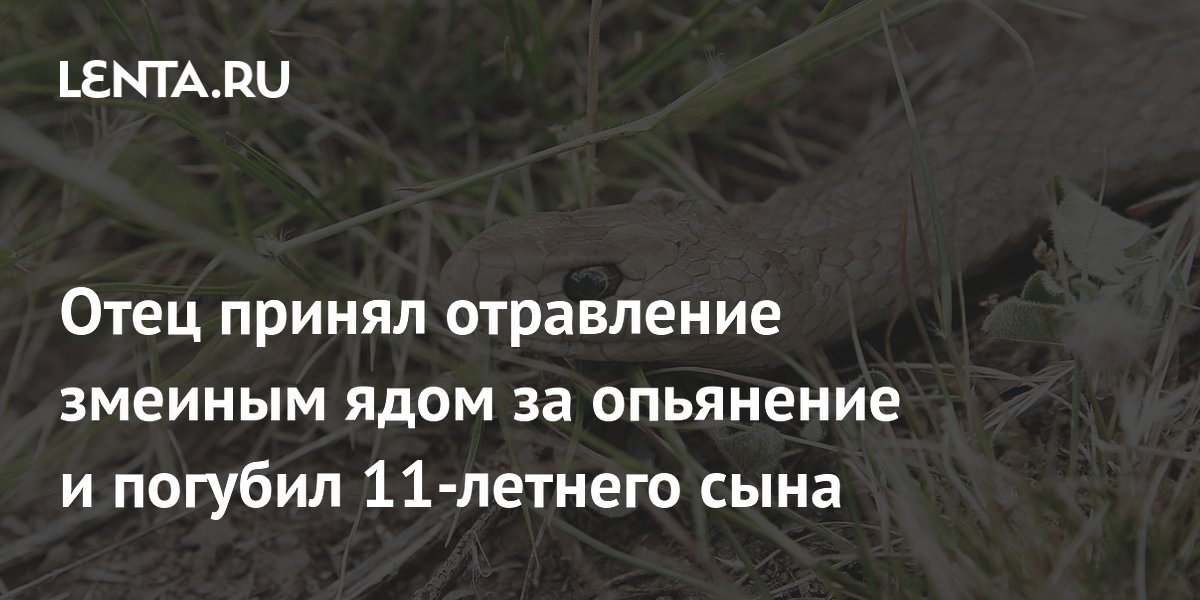 Отец принял отравление змеиным ядом за опьянение и погубил 11-летнего сына