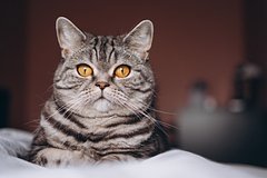 Архивное фото