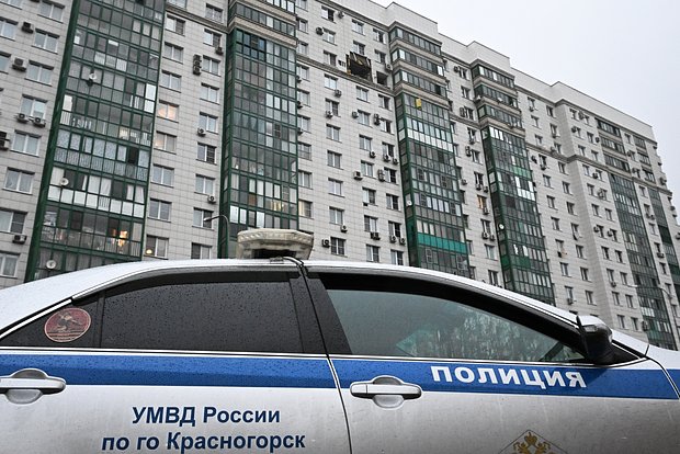 Вводная картинка