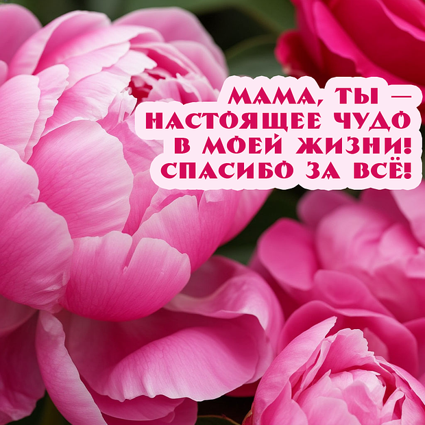 Картинка с душевным поздравлением на День матери
