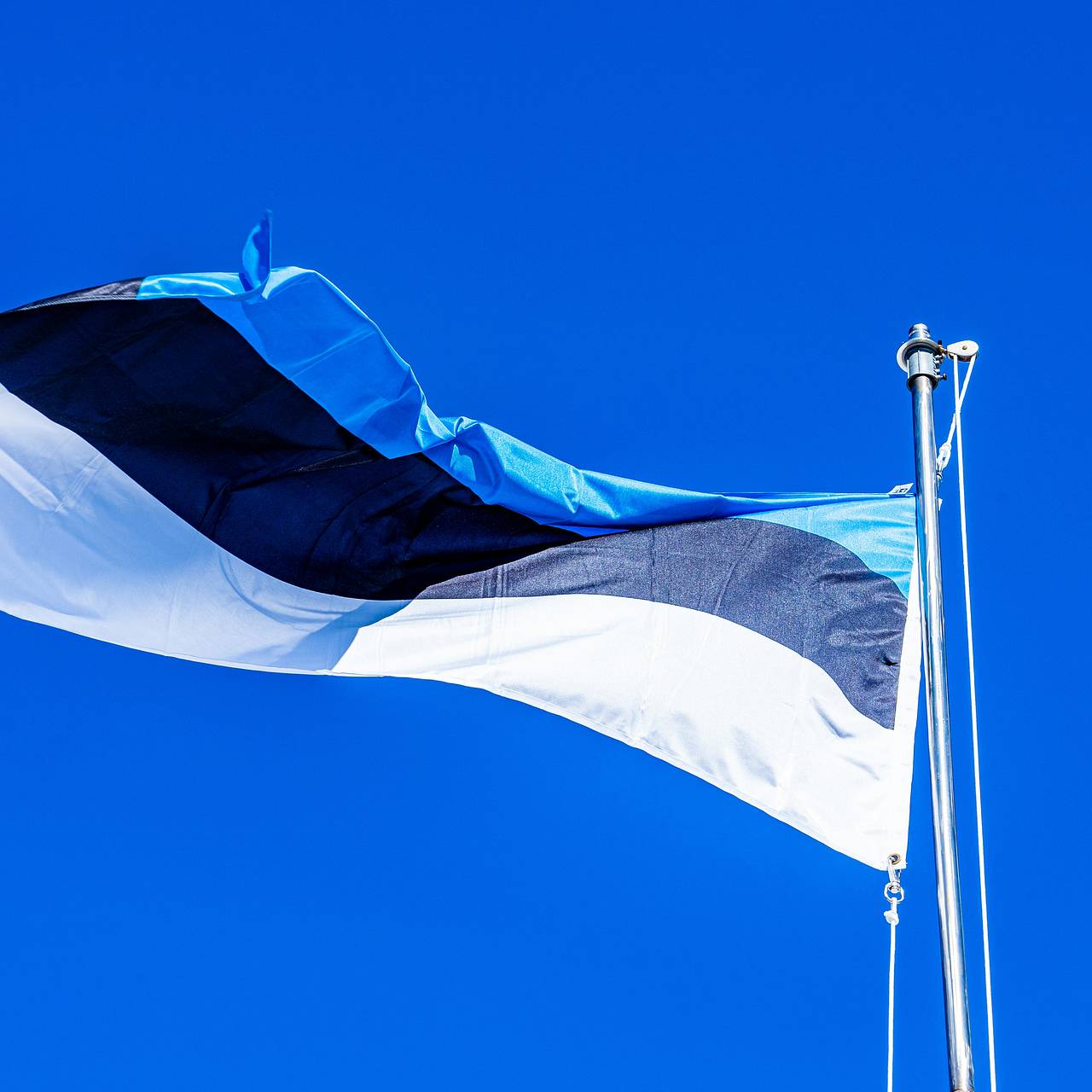 Эстонская компания прекратила обслуживать клиентов на русском языке