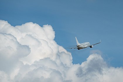 Аэропорт Вильнюса приостановил работу
