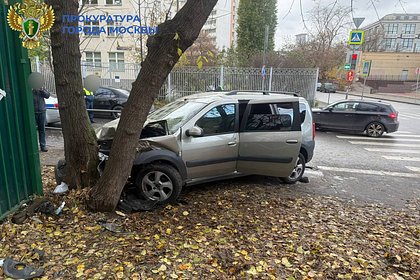 Подросток в Москве врезался в дерево из-за педалей в машине