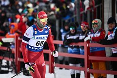 Александр Большунов