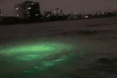Неопознанные подводные объекты. Лодердейл, Флорида