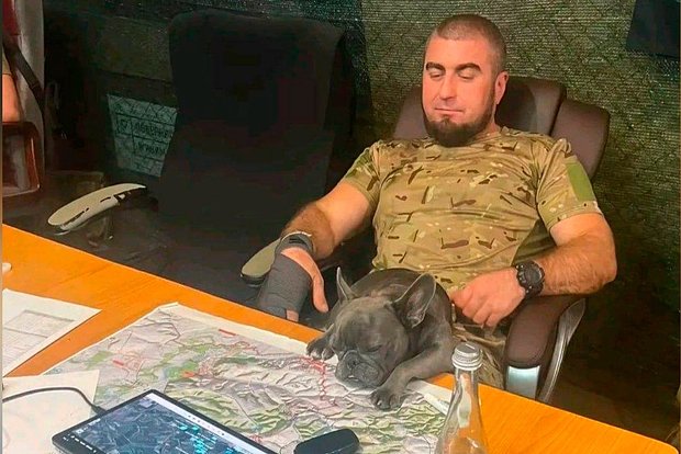 Вводная картинка