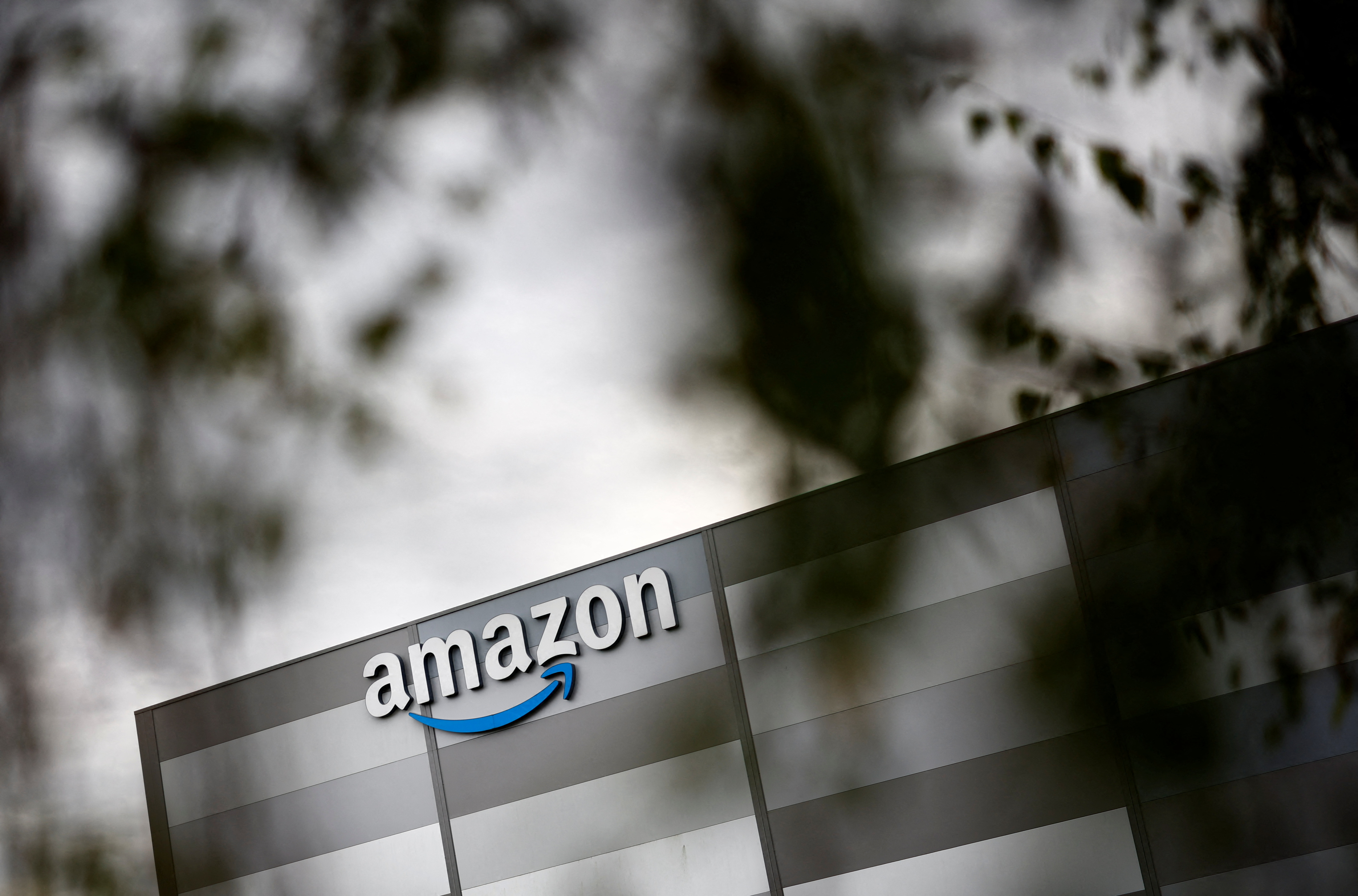 Amazon     
