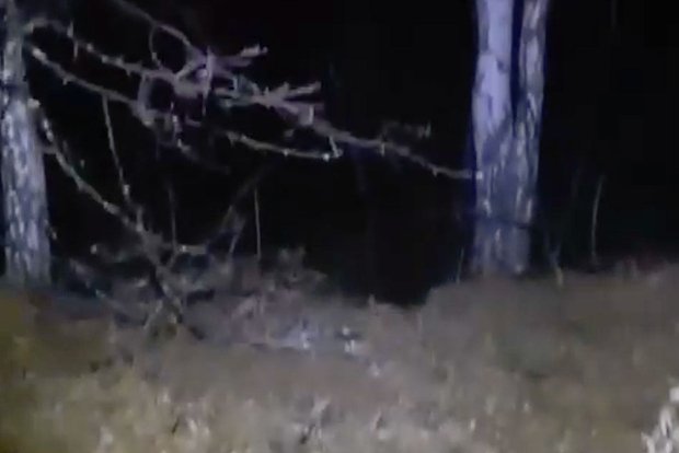 Вводная картинка