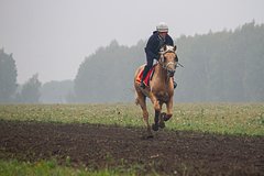 Архивное фото