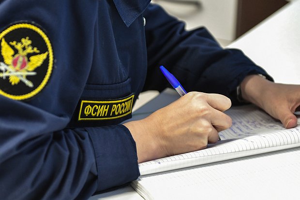 Вводная картинка