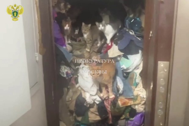 Вводная картинка